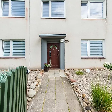 Zolte Roze Проживание в семье